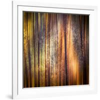 Autumn Walk-Ursula Abresch-Framed Photographic Print