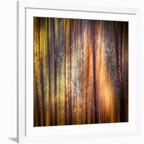 Autumn Walk-Ursula Abresch-Framed Photographic Print