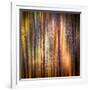 Autumn Walk-Ursula Abresch-Framed Photographic Print