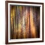 Autumn Walk-Ursula Abresch-Framed Photographic Print