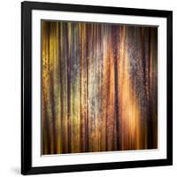 Autumn Walk-Ursula Abresch-Framed Photographic Print