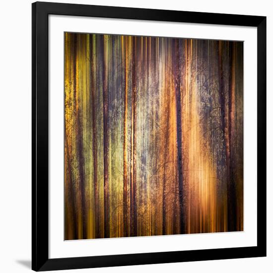 Autumn Walk-Ursula Abresch-Framed Photographic Print