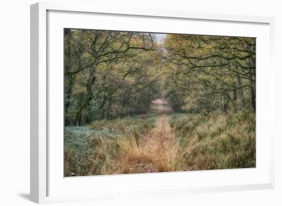 Autumn Walk-Cora Niele-Framed Photographic Print