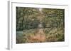 Autumn Walk-Cora Niele-Framed Photographic Print