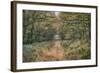 Autumn Walk-Cora Niele-Framed Photographic Print