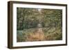 Autumn Walk-Cora Niele-Framed Photographic Print