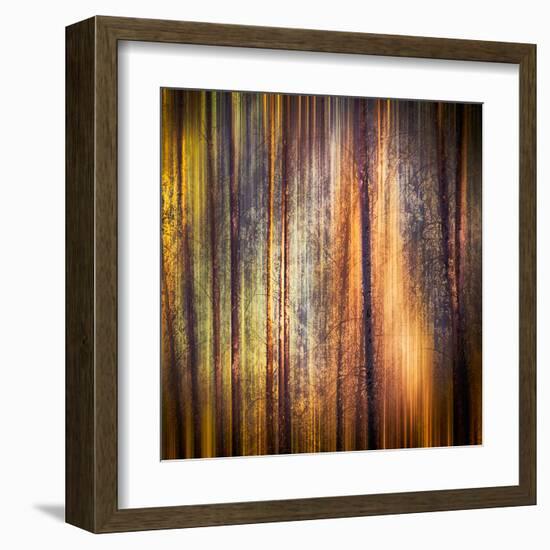 Autumn Walk-Ursula Abresch-Framed Premium Photographic Print