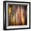 Autumn Walk-Ursula Abresch-Framed Premium Photographic Print