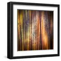 Autumn Walk-Ursula Abresch-Framed Premium Photographic Print