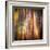 Autumn Walk-Ursula Abresch-Framed Premium Photographic Print