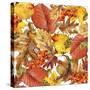 Autumn Watercolor Background Colorful Leaves. W-Dabrynina Alena-Stretched Canvas