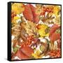 Autumn Watercolor Background Colorful Leaves. W-Dabrynina Alena-Framed Stretched Canvas