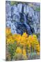 Autumn Waterfall, Bishop Creek Canyon, Eastern Sierras, California-Vincent James-Mounted Photographic Print