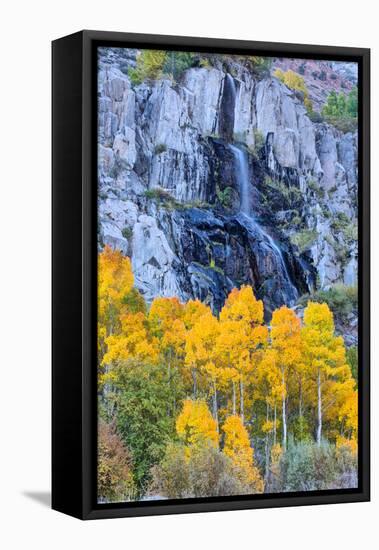 Autumn Waterfall, Bishop Creek Canyon, Eastern Sierras, California-Vincent James-Framed Stretched Canvas