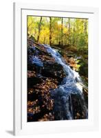 Autumn Waterfall I-Alan Hausenflock-Framed Photographic Print