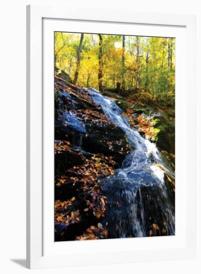 Autumn Waterfall I-Alan Hausenflock-Framed Photographic Print