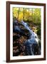 Autumn Waterfall I-Alan Hausenflock-Framed Photographic Print