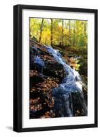 Autumn Waterfall I-Alan Hausenflock-Framed Photographic Print