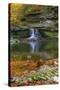 Autumn waterfall in McCormics Creek State Park, Indiana, USA-Anna Miller-Stretched Canvas