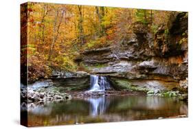 Autumn waterfall in McCormics Creek State Park, Indiana, USA-Anna Miller-Stretched Canvas