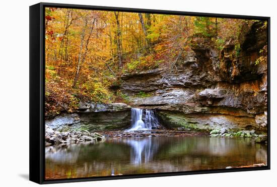 Autumn waterfall in McCormics Creek State Park, Indiana, USA-Anna Miller-Framed Stretched Canvas