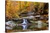 Autumn waterfall in McCormics Creek State Park, Indiana, USA-Anna Miller-Stretched Canvas