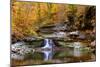 Autumn waterfall in McCormics Creek State Park, Indiana, USA-Anna Miller-Mounted Photographic Print