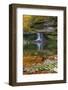 Autumn waterfall in McCormics Creek State Park, Indiana, USA-Anna Miller-Framed Photographic Print