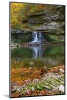 Autumn waterfall in McCormics Creek State Park, Indiana, USA-Anna Miller-Mounted Photographic Print