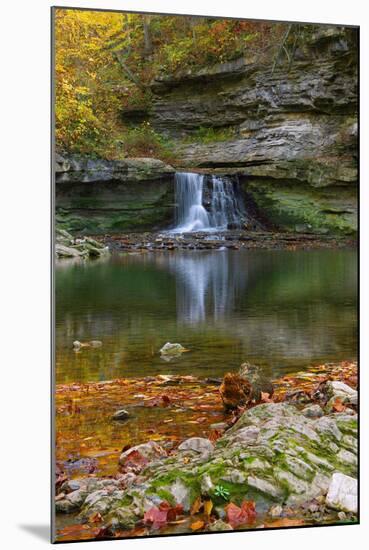 Autumn waterfall in McCormics Creek State Park, Indiana, USA-Anna Miller-Mounted Photographic Print