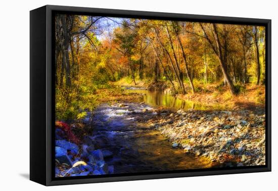 Autumn Waters I-Alan Hausenflock-Framed Stretched Canvas