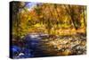 Autumn Waters I-Alan Hausenflock-Stretched Canvas