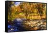 Autumn Waters I-Alan Hausenflock-Framed Stretched Canvas