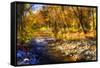 Autumn Waters I-Alan Hausenflock-Framed Stretched Canvas