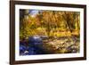 Autumn Waters I-Alan Hausenflock-Framed Photographic Print