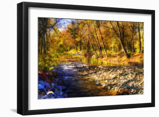 Autumn Waters I-Alan Hausenflock-Framed Photographic Print