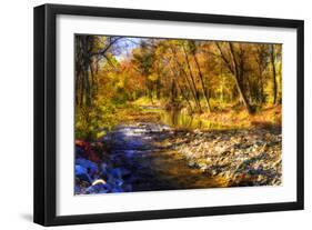 Autumn Waters I-Alan Hausenflock-Framed Photographic Print