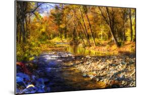 Autumn Waters I-Alan Hausenflock-Mounted Photographic Print