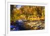 Autumn Waters I-Alan Hausenflock-Framed Photographic Print