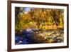 Autumn Waters I-Alan Hausenflock-Framed Photographic Print