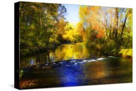 Autumn Waters II-Alan Hausenflock-Stretched Canvas
