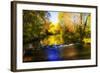 Autumn Waters II-Alan Hausenflock-Framed Photographic Print