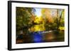 Autumn Waters II-Alan Hausenflock-Framed Photographic Print