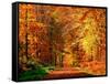 Autumn Way-Philippe Sainte-Laudy-Framed Stretched Canvas
