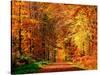 Autumn Way-Philippe Sainte-Laudy-Stretched Canvas