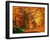 Autumn Way-Philippe Sainte-Laudy-Framed Premium Photographic Print