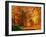 Autumn Way-Philippe Sainte-Laudy-Framed Premium Photographic Print