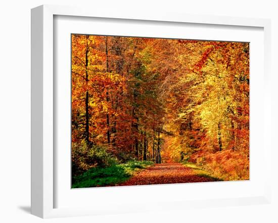 Autumn Way-Philippe Sainte-Laudy-Framed Premium Photographic Print
