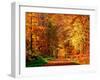 Autumn Way-Philippe Sainte-Laudy-Framed Premium Photographic Print