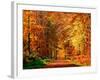 Autumn Way-Philippe Sainte-Laudy-Framed Premium Photographic Print